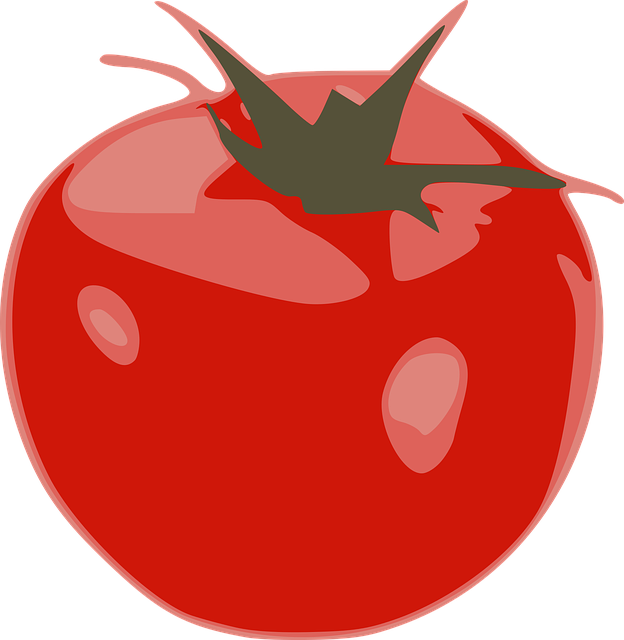 How to Plant Tomatoes